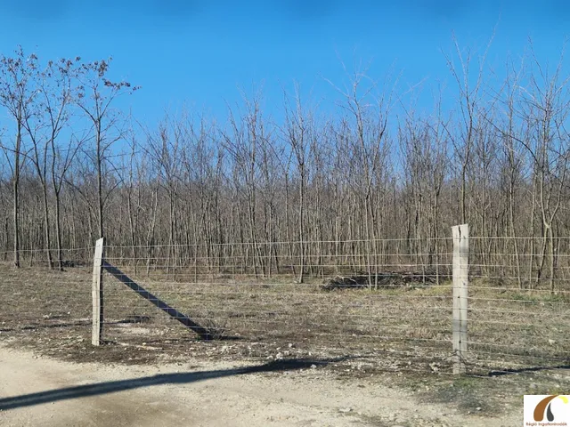 Eladó telek Dabas 762 nm