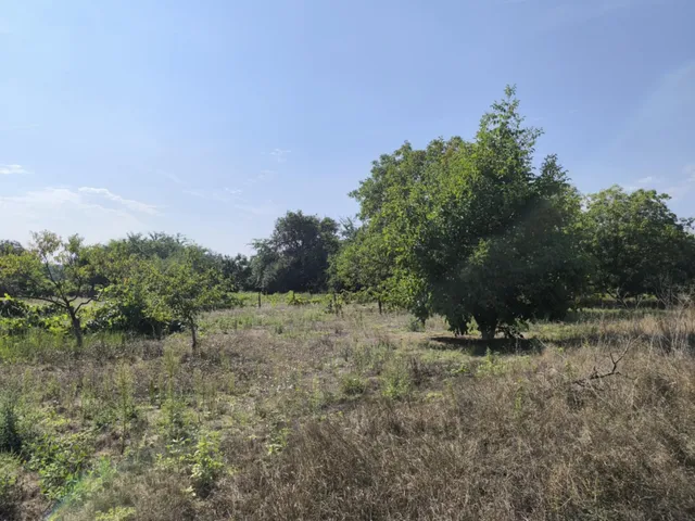 Eladó telek Albertirsa 1052 nm