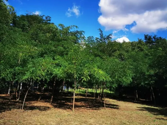 Eladó ház Pilis 40 nm