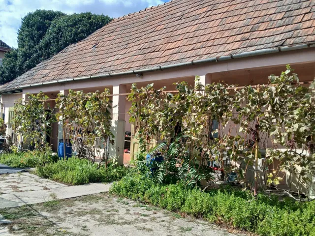 Eladó ház Dabas 80 nm