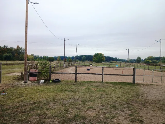 Eladó telek Dabas 20000 nm