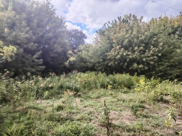 Eladó telek Dabas 414 nm