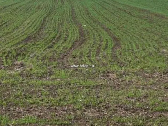 Eladó telek Dabas 1151 nm