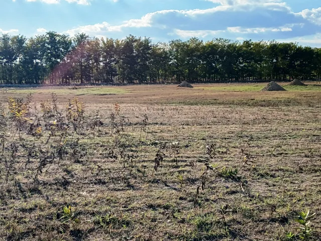 Eladó telek Dabas 28000 nm