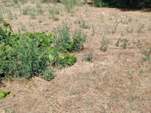 Eladó telek Pilis 580 nm