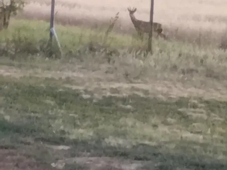 Eladó ház Dabas 70 nm