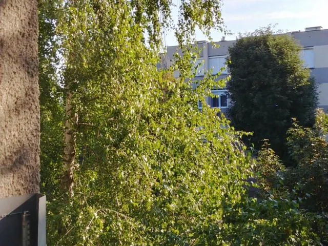 Eladó lakás Dabas 50 nm