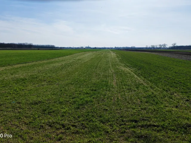 Eladó mezőgazdasági ingatlan Vasad 8448 nm