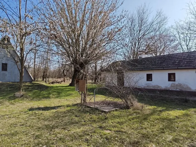 Eladó mezőgazdasági ingatlan Lajosmizse 90 nm