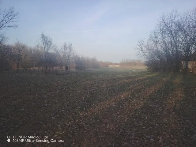 Eladó mezőgazdasági ingatlan Örkény 15622 nm