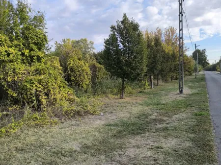 Eladó telek Albertirsa 6617 nm