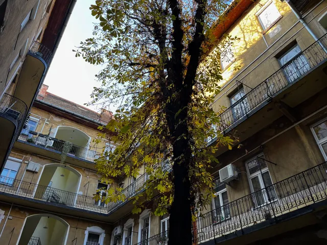 Eladó lakás Budapest VI. kerület 49 nm