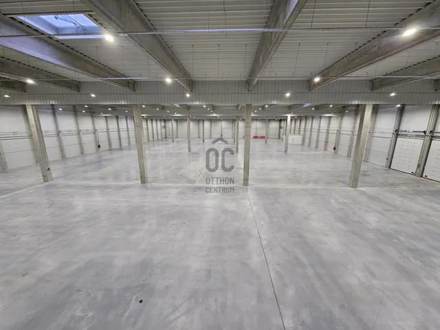 Kiadó kereskedelmi és ipari ingatlan Vecsés, Krakkó 11500 nm