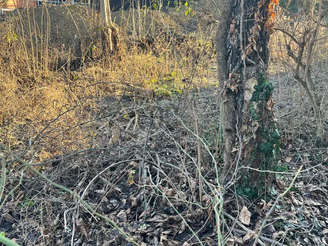 Eladó telek Budapest XI. kerület, Péterhegy 1746 nm