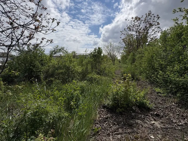 Eladó telek Budapest XXII. kerület, Budafok 4048 nm