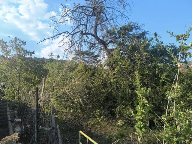 Eladó telek Budaörs 2430 nm