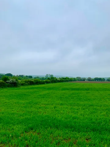 Eladó telek Balatonhenye 7926 nm