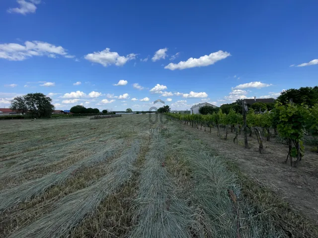 Eladó telek Szekszárd 1400 nm