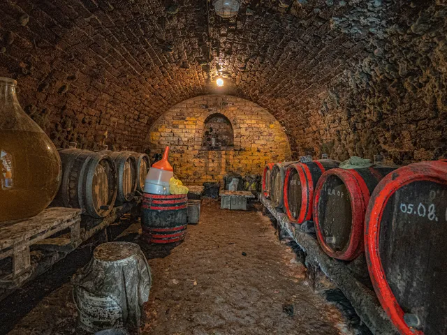 Eladó mezőgazdasági ingatlan Szekszárd 1395 nm