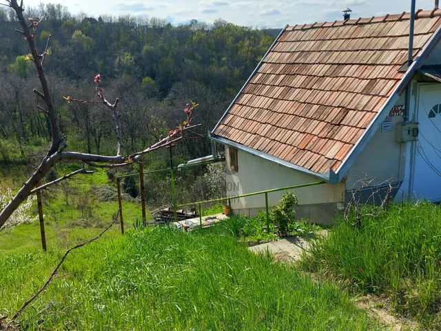 Eladó mezőgazdasági ingatlan Szekszárd 787 nm