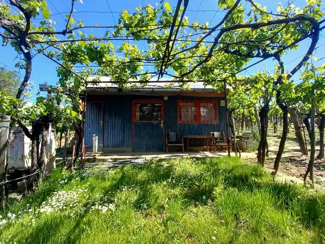 Eladó mezőgazdasági ingatlan Szekszárd 1082 nm