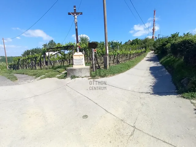 Eladó mezőgazdasági ingatlan Szekszárd 1082 nm