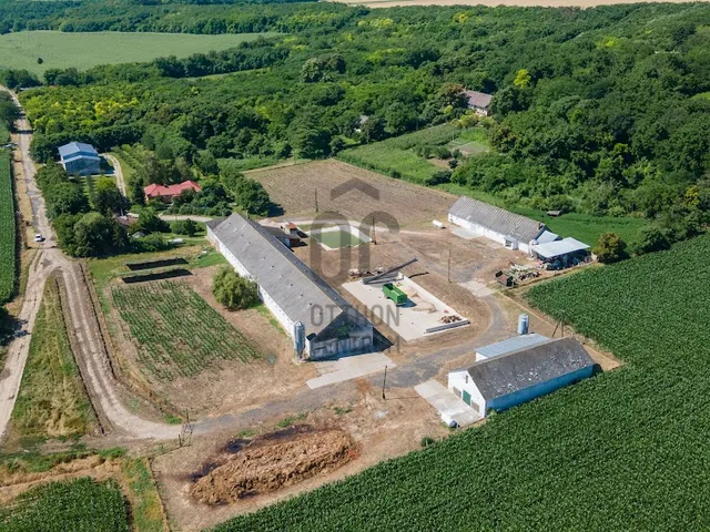 Eladó mezőgazdasági ingatlan Harc 30000 nm