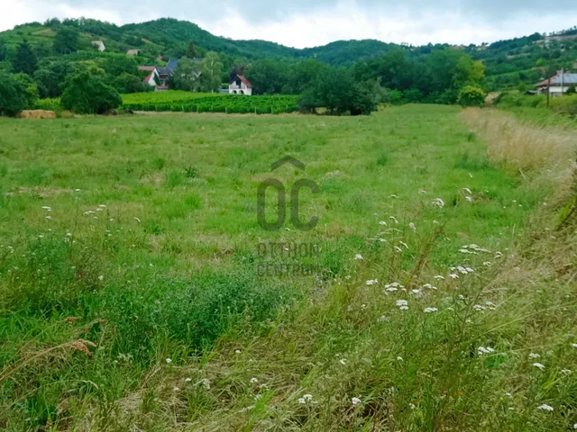 Eladó telek Szekszárd 3032 nm