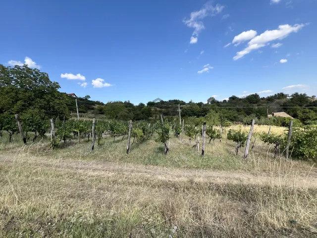 Eladó telek Szekszárd 1761 nm