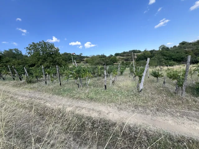 Eladó telek Szekszárd 1761 nm