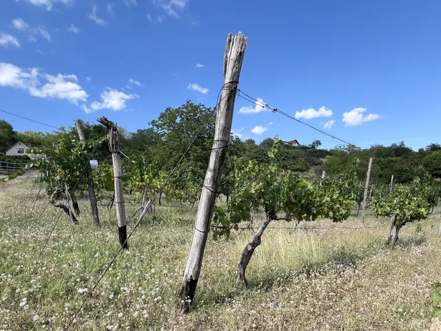 Eladó telek Szekszárd 1761 nm