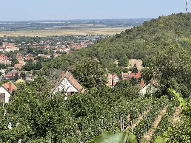 Eladó ház Szekszárd, Felsőváros 90 nm