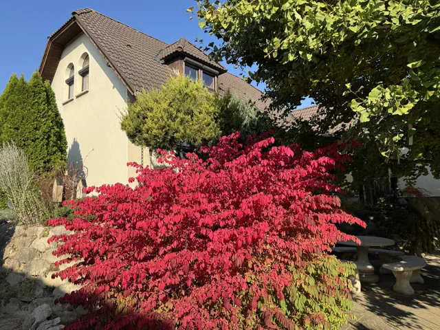 Eladó ház Szekszárd 157 nm