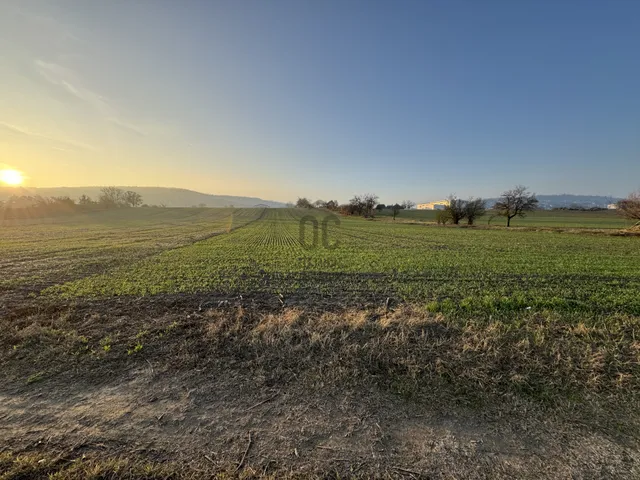 Eladó telek Szekszárd, Csatár 6853 nm