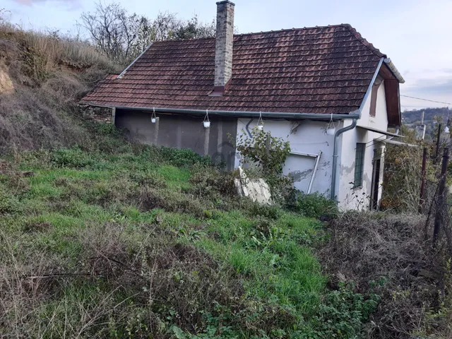 Eladó mezőgazdasági ingatlan Szekszárd 75 nm