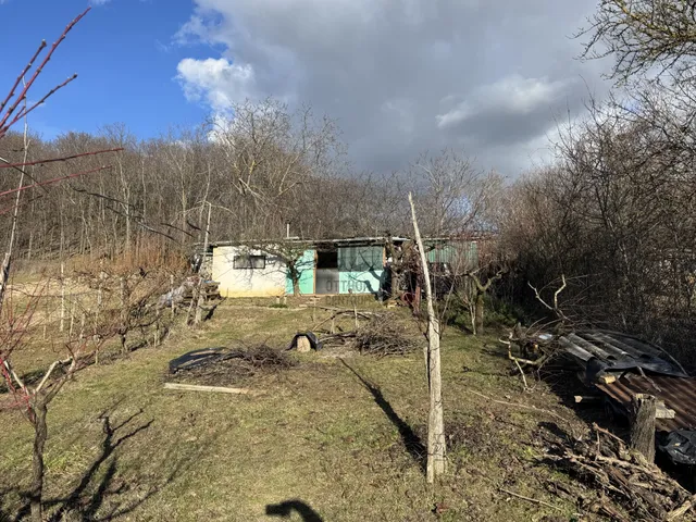 Eladó mezőgazdasági ingatlan Szekszárd, Csötönyivölgy 1197 nm