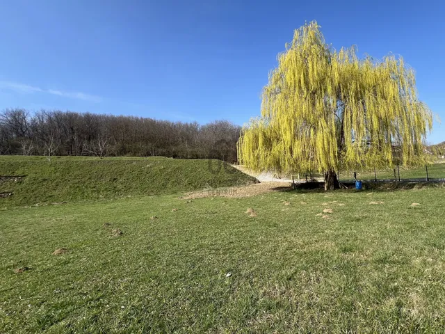 Eladó telek Szekszárd 7586 nm