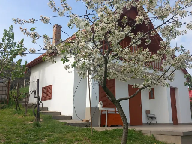 Eladó mezőgazdasági ingatlan Szekszárd, Palánkihegy 874 nm