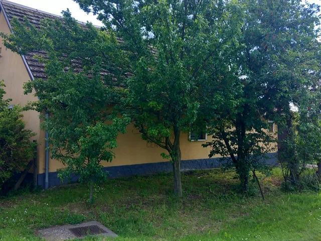 Eladó ház Őcsény 63 nm