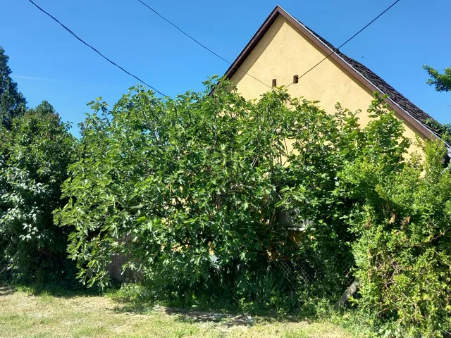 Eladó ház Őcsény 63 nm