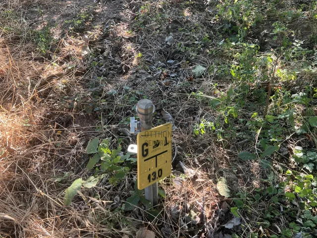 Eladó telek Szálka 895 nm