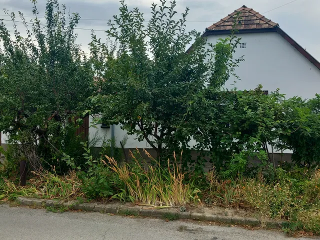 Eladó ház Szekszárd, Újváros 88 nm