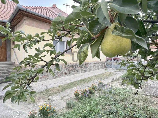 Eladó ház Palotabozsok 115 nm