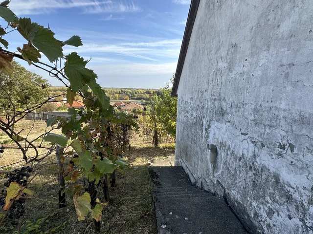 Eladó mezőgazdasági ingatlan Szekszárd, Palánkihegy 911 nm