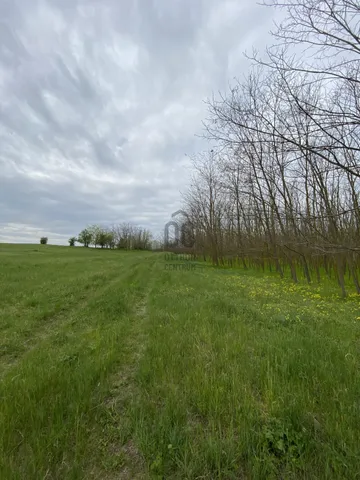 Eladó mezőgazdasági ingatlan Paks 30000 nm