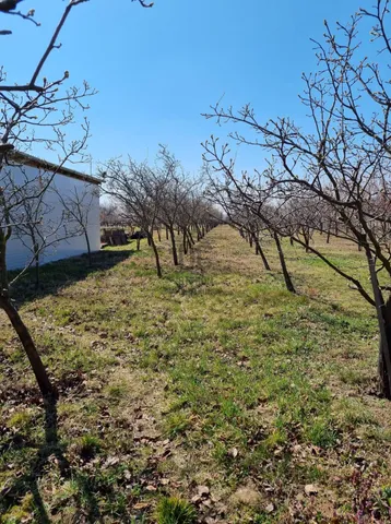 Eladó mezőgazdasági ingatlan Paks 3549 nm