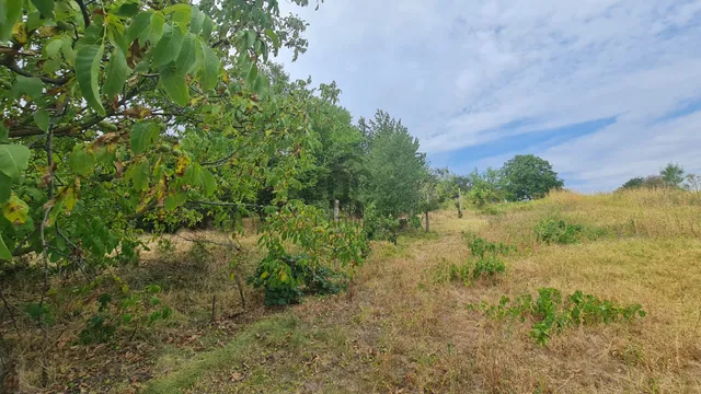 Eladó mezőgazdasági ingatlan Paks, Dunakömlőd 2471 nm