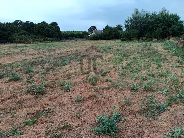 Eladó telek Foktő 100 nm