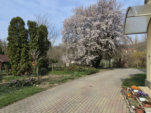 Eladó ház Kölesd 190 nm