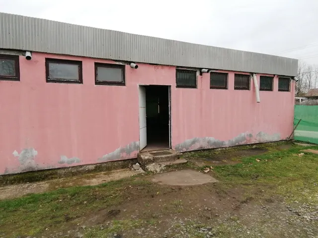 Eladó kereskedelmi és ipari ingatlan Mindszentgodisa 380 nm